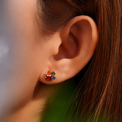 S925 Silver Geometric Shape Earrings