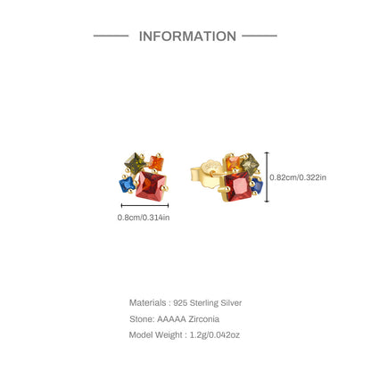 S925 Silver Geometric Shape Earrings